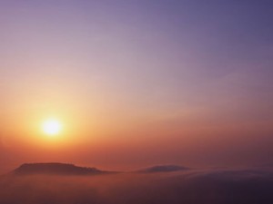 抗がん剤の副作用で髪が抜けても、恐怖を感じなかったのは素敵な美容院に行けたから