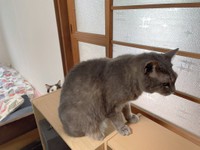 まさおくん、うしろうしろ！！