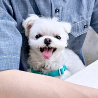 パパに抱っこされて笑みを浮かべるアーロくん（画像提供：しろもふ（アーロ）さん）