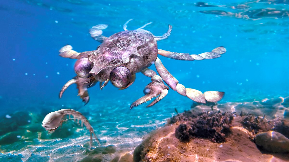 大昔のカニは、今のカニよりずっと目がよかったらしい 太古の化石で