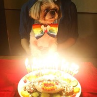 ケーキを前にキョトン顔のてんぽくん©AUN／投稿主さん提供