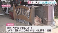 住宅の敷地で飼い犬がクマに襲われけが　宮城・蔵王町