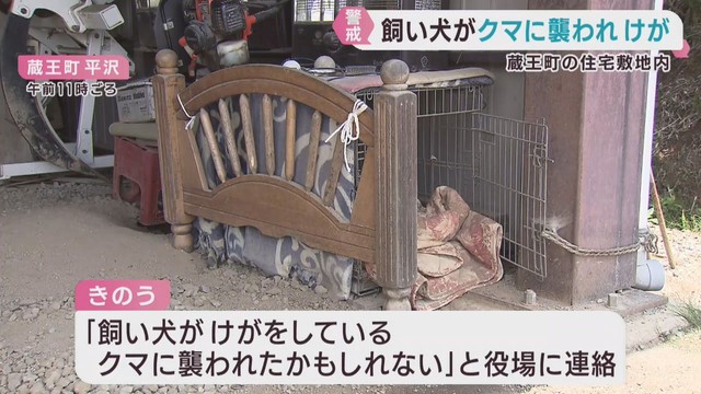 住宅の敷地で飼い犬がクマに襲われけが　宮城・蔵王町