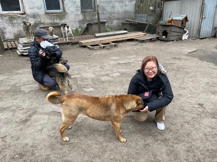 リビウの郊外の私営ドッグシェルターにて。犬たちは人懐こい