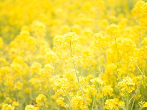 いつでも心に蓋をして行動する私は「いい人」助演女優賞にノミネート