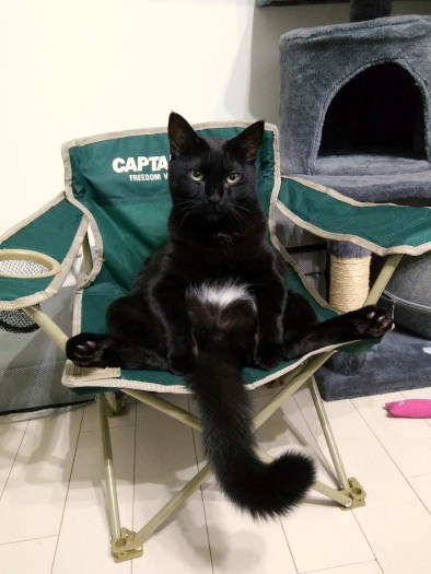 ぱっかーん。じつは白いパンツを履いているの