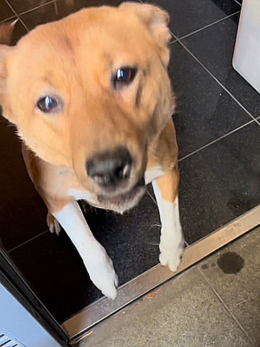 １カ月ぶりの再会にうれしさ大爆発。よかったね