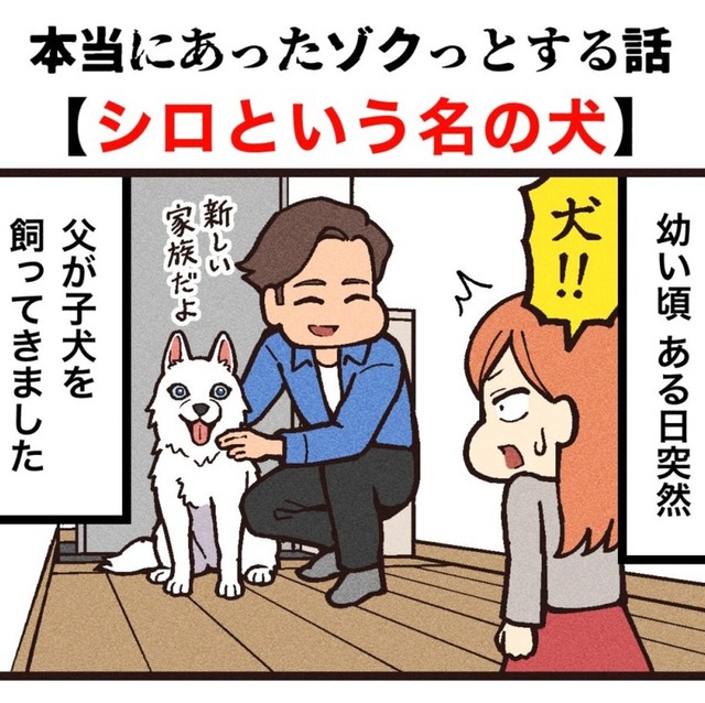 突然飼うことになった子犬のシロ（大友しゅうまさん提供）