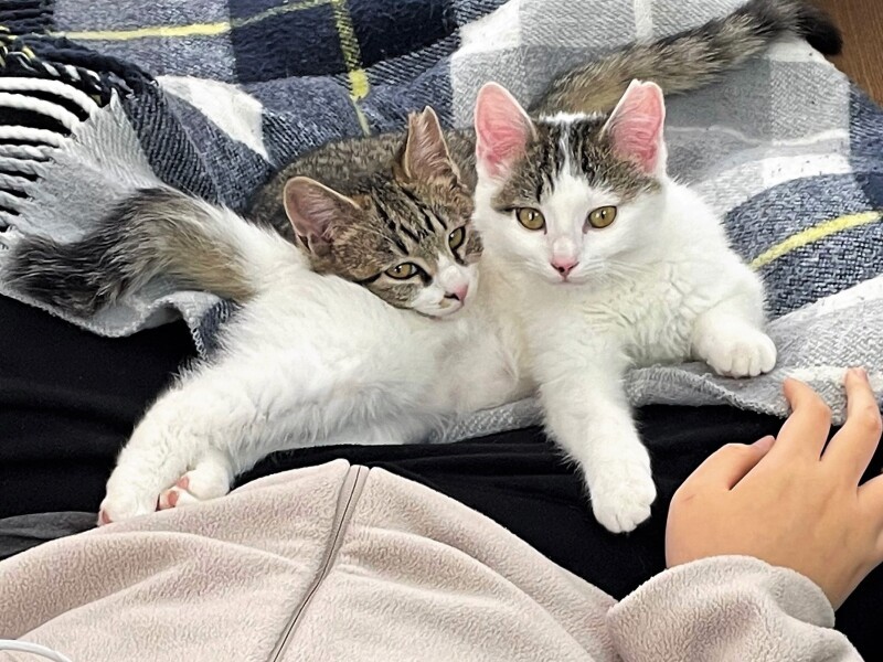 「泰地お兄ちゃんのおひざの上が大好き」