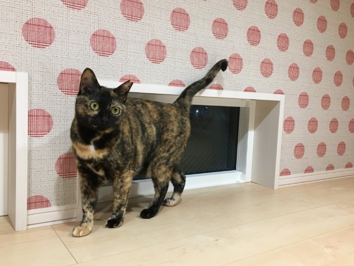 ロフトの”さくら部屋”から「走る電車が良くみえるよ」