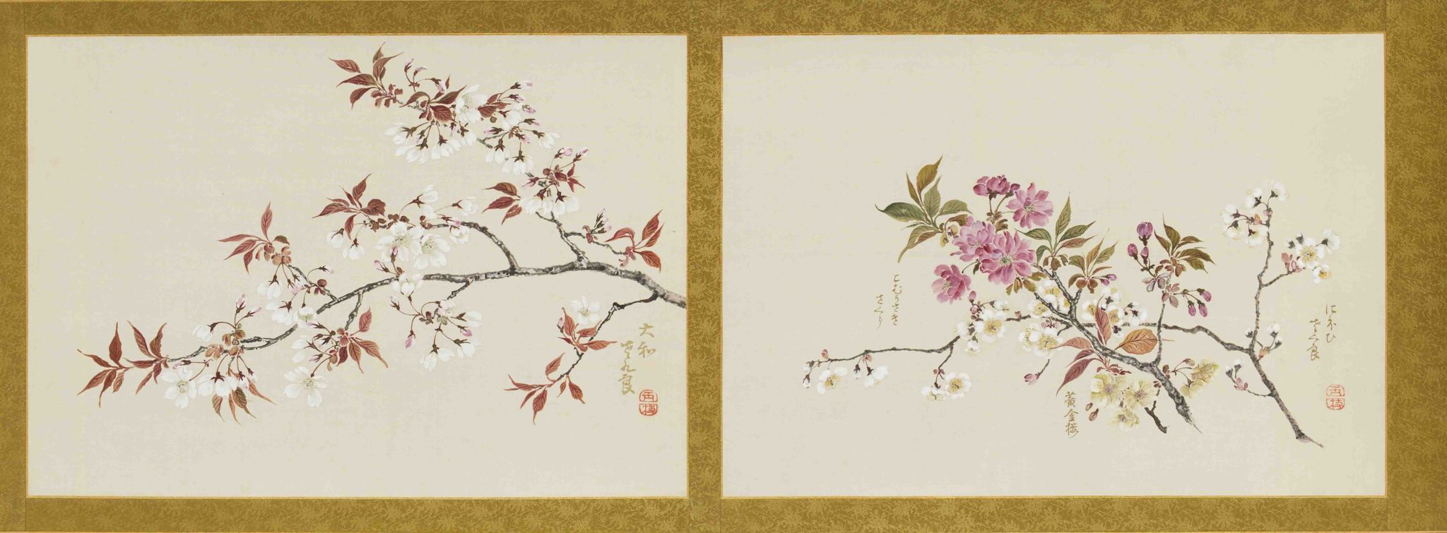 没入感たっぷり！ ひと足早く桜の美を楽しむ映像インスタレーション