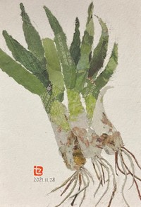 泥付きねぎの香りが漂ってきそうな作品＝93歳セツの新聞ちぎり絵（@setsu0107）さん提供