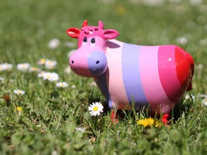 息子達におままごとやシルバニアファミリーを買い与える私