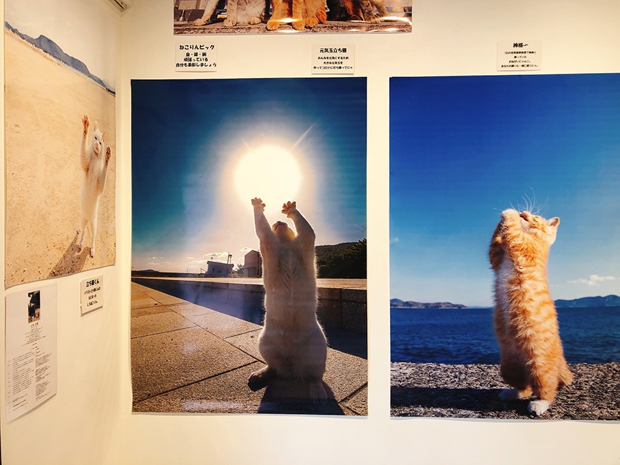 手作り額付き銅版画作品　title「たび猫」「たち猫」「日は登る猫」3枚セット」 0339ae1dfc2568e15a60851f5dbe4d