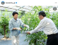 皇后陛下が養蚕に取り組まれる様子（宮内庁の公式インスタグラムから）