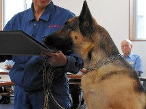 警察犬シータ、不明の小学生２人を発見　サンダルが手がかり