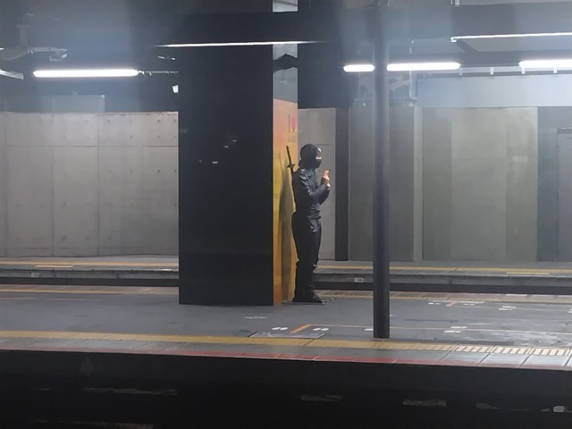 なぜ忍者！？（たもんまるさん提供）