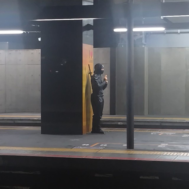 なぜ忍者！？（たもんまるさん提供）