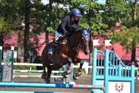 RRC北海道での競技中の「エイカイロイヤル」号（提供：真駒内乗馬クラブ(札幌)さん）