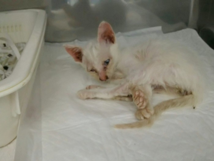 病院で薬浴してすっきり