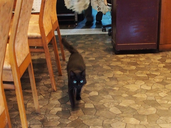 店の奥から飛んできて「いらっしゃいませ」