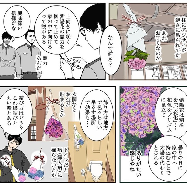紫陽花守りにはさまざまな効果があるらしい（送達ねこさん提供）