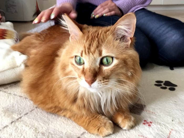 今では見違えるほどきれいに