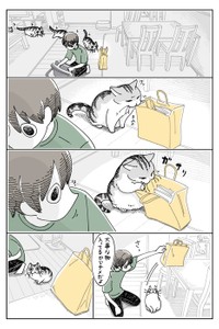 【漫画】「のぼれちゃったネコ」（提供：キュルZさん）