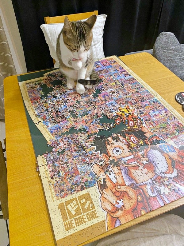 パズルの上にちょこん！？ 毛づくろいする杏忍くん（画像提供：杏忍さん）