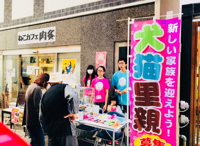 積極的に譲渡会も行う（あたたかな時期に人通りの多い猫カフェの前を借りると足を止める人も多い）