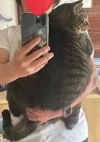 抱っこ好き竜親分！（飼い主さん提供）