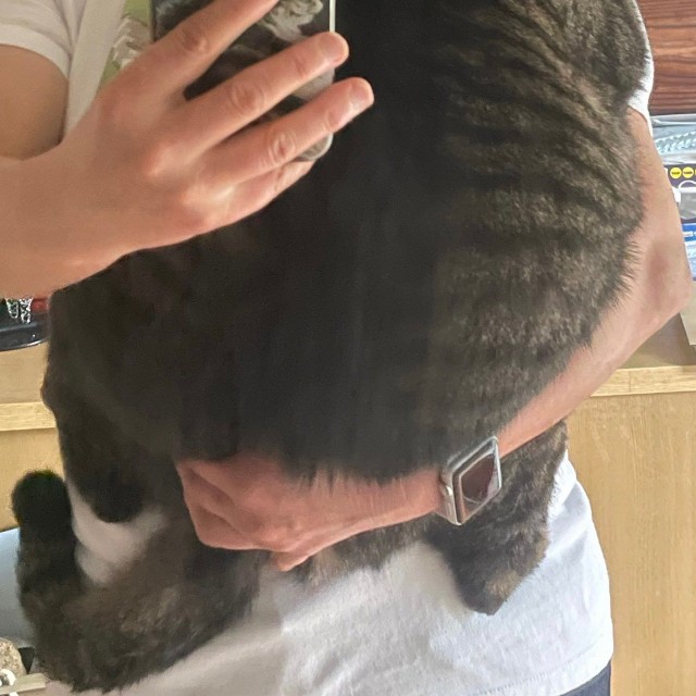 抱っこ好き竜親分！（飼い主さん提供）