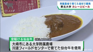東北大学がカレーとビールを開発　宮城・大崎市の附属農場の農畜産物を使用