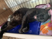 退院してすぐの頃