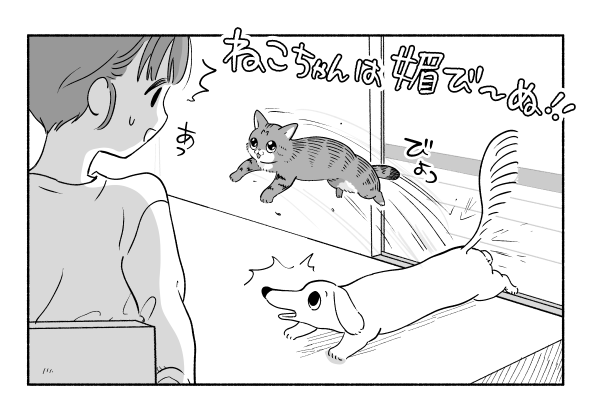 【2/2枚】この「後ろ足セーフ」の犬理論でトイレもミスってる(ちとせ@inunonekochanさんツイッターより)