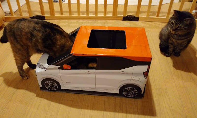 おもちゃを入れると、楽しそう！