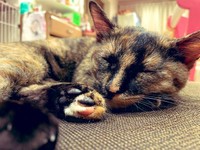 たくさん遊んでスヤスヤ