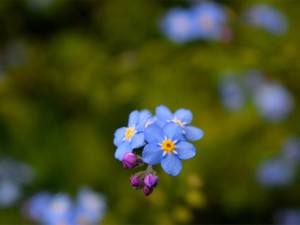十年後の私へ。はらわたごと、愛してくれていますか。