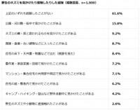 野生のネズミを見かけたり接触したりした経験（提供画像）