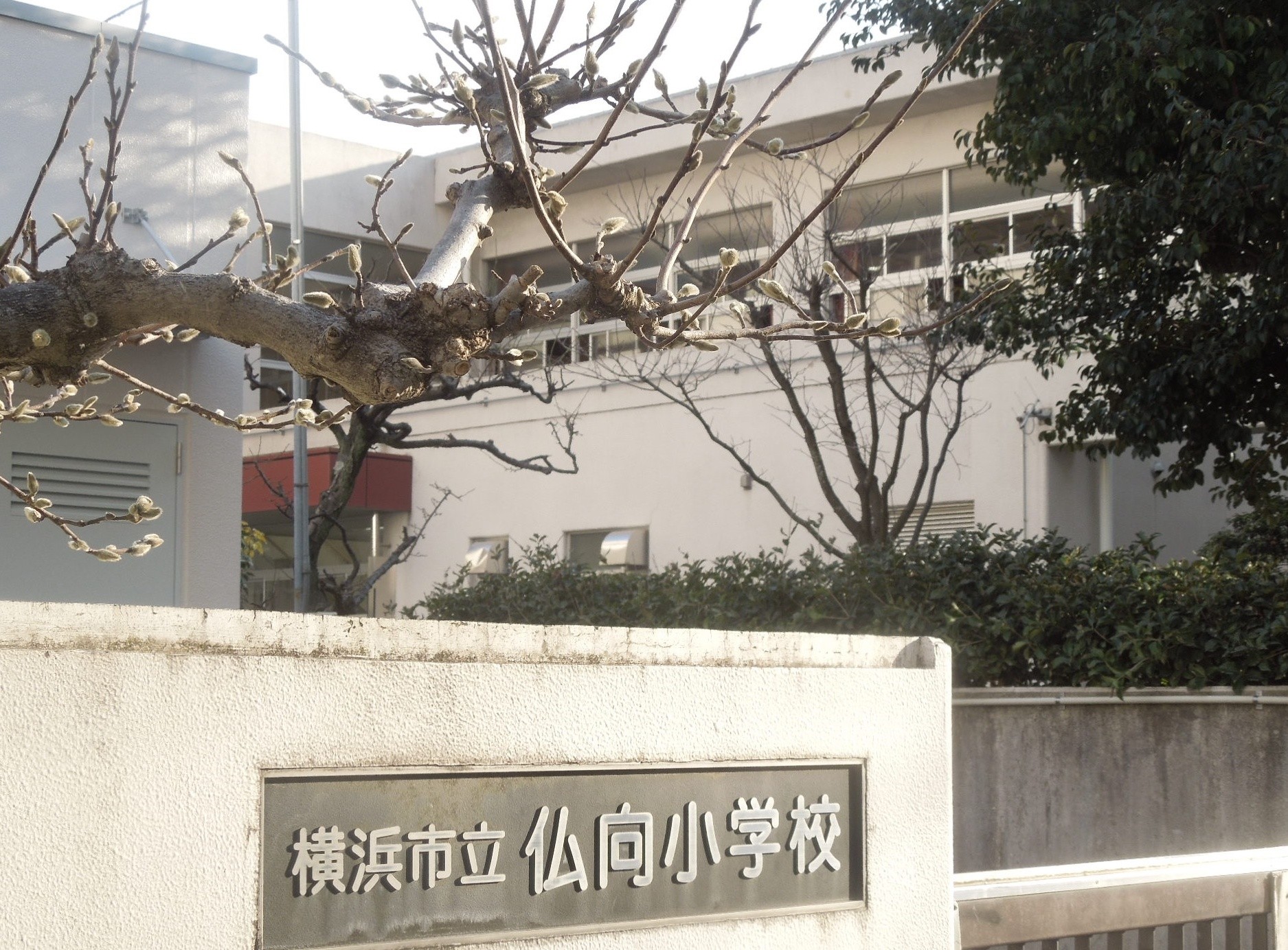 横浜市立仏向小