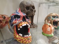 シャレコーベ・ミュージアムはシャレコーベに特化した博物館