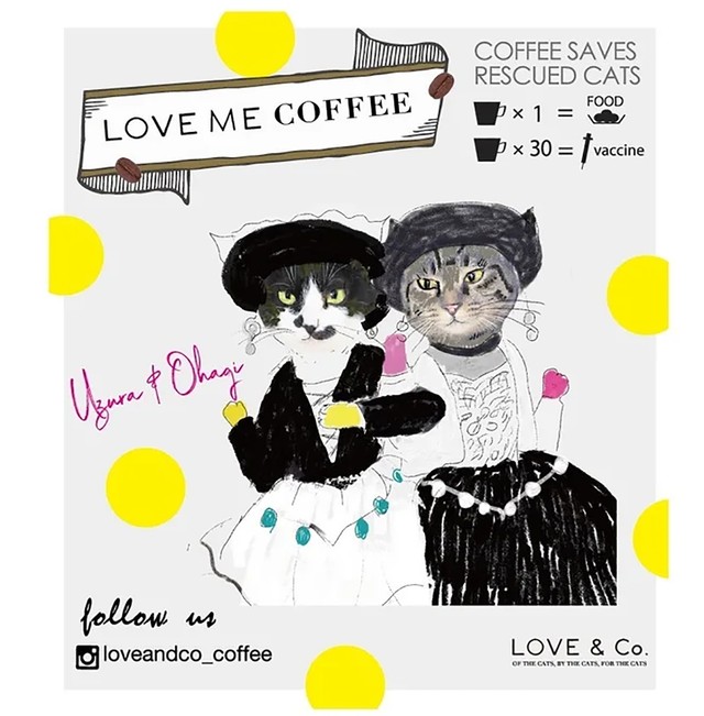 Winkのヒット曲『淋しい熱帯魚』のメロディが頭に浮かんできます