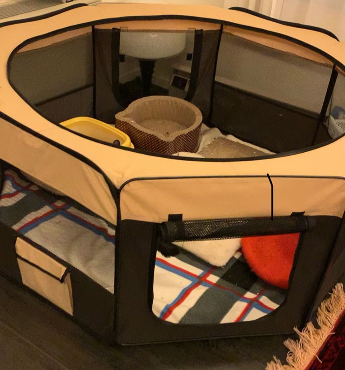 ごろりんがケガしないように用意したソフトケージ
