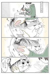 キュルガちゃんもフータくんも気持ちが良さそう！（提供：キュルZさん）