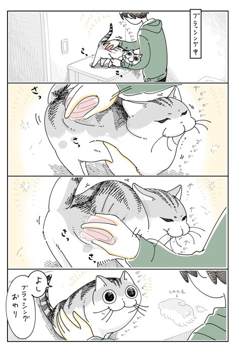 キュルガちゃんもフータくんも気持ちが良さそう！（提供：キュルZさん）