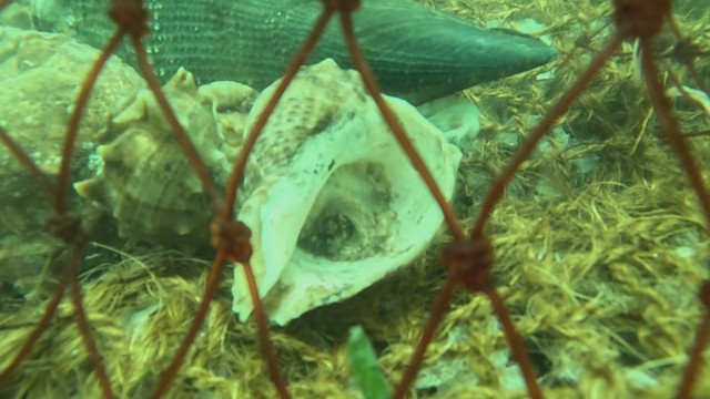 提供：海洋建設株式会社
