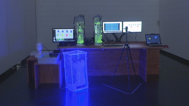 岡山芸術交流2025で展示されている作品