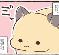 3日離れたストレスが…（しらほし卯乃さん提供）