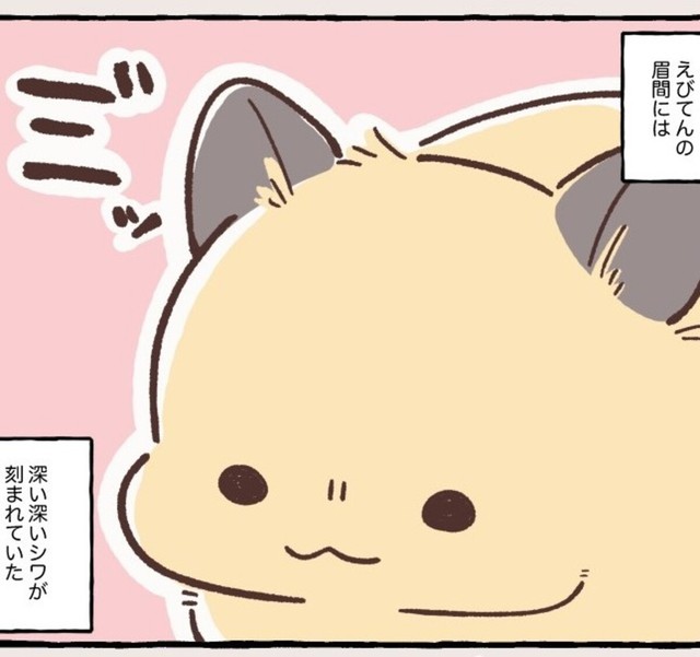 3日離れたストレスが…（しらほし卯乃さん提供）