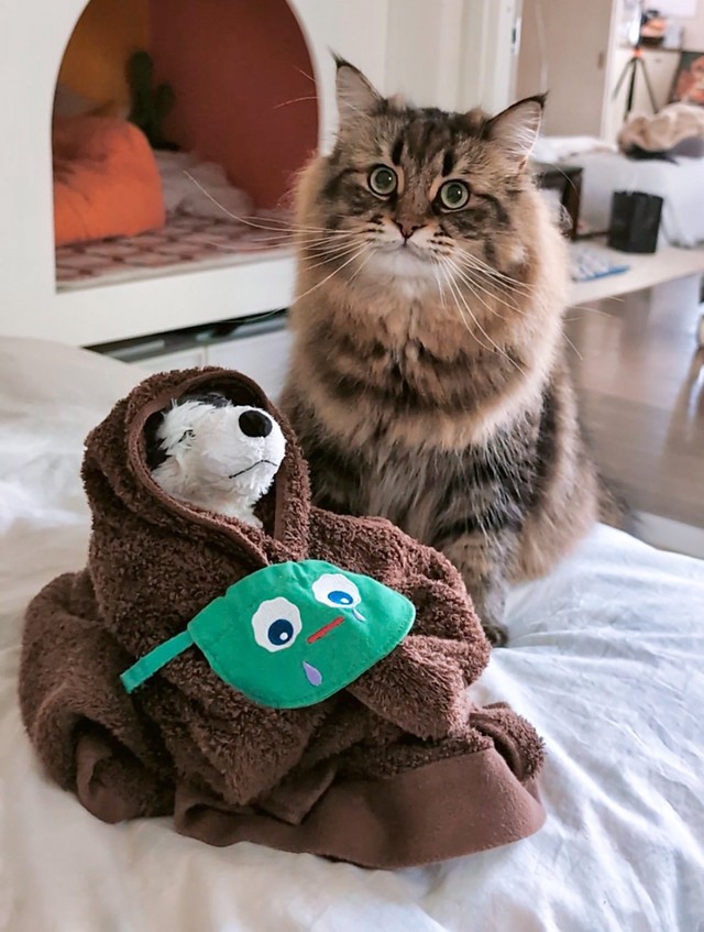 「毎日一緒にいるイヌのぬいぐるみ（イヌくん）と」（提供：ヤマネコさん）